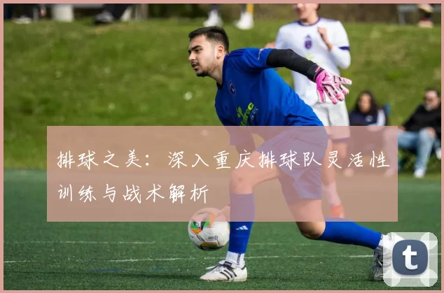 排球之美:深入重庆排球队灵活性训练与战术解析