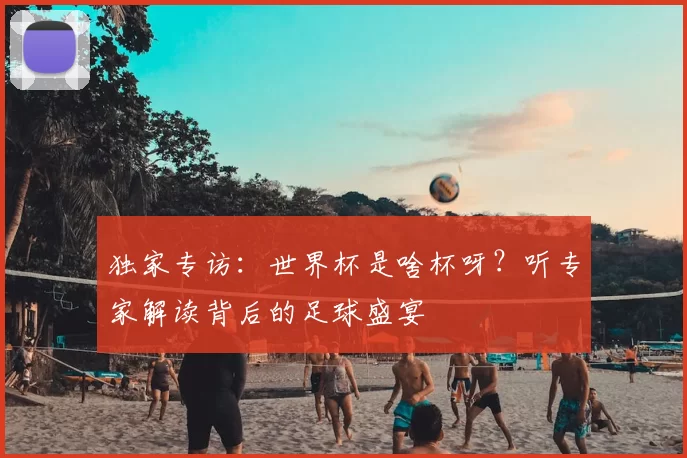 独家专访:世界杯是啥杯呀?听专家解读背后的足球盛宴
