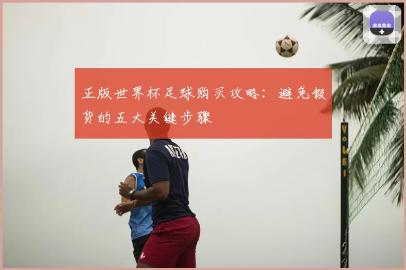 正版世界杯足球购买攻略：避免假货的五大关键步骤