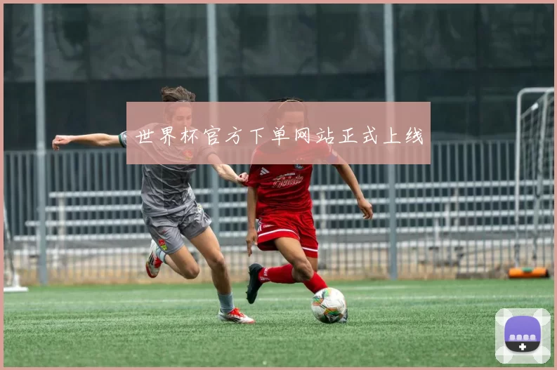 世界杯官方下单网站正式上线