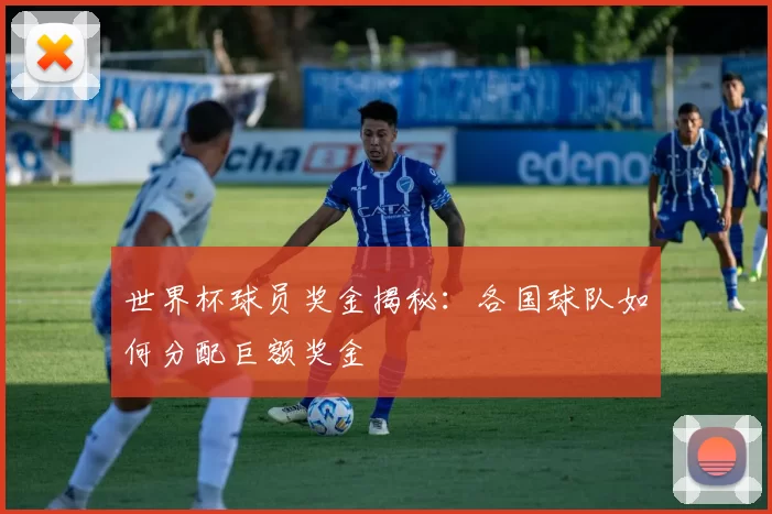 世界杯球员奖金揭秘：各国球队如何分配巨额奖金