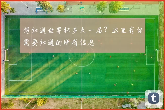想知道世界杯多久一届?这里有你需要知道的所有信息