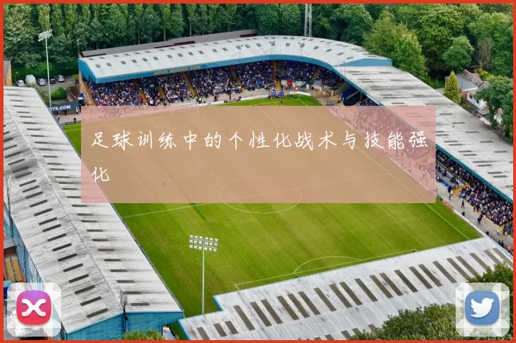 足球训练中的个性化战术与技能强化