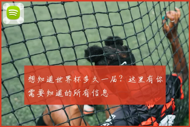 想知道世界杯多久一届？这里有你需要知道的所有信息