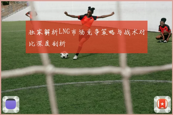 独家解析LNG市场竞争策略与战术对比深度剖析