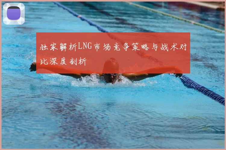 独家解析LNG市场竞争策略与战术对比深度剖析