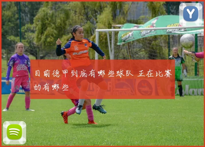 目前德甲到底有哪些球队 正在比赛的有哪些