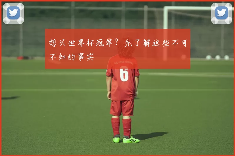 想买世界杯冠军?先了解这些不可不知的事实