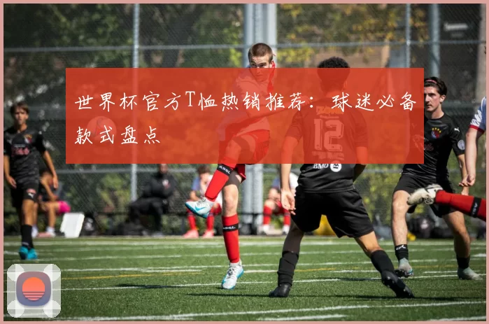 世界杯官方T恤热销推荐：球迷必备款式盘点