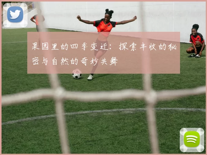 果园里的四季变迁:探索丰收的秘密与自然的奇妙共舞