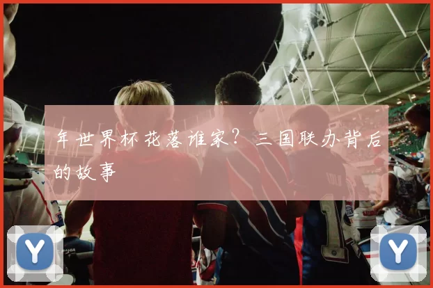 年世界杯花落谁家？三国联办背后的故事