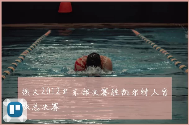 热火2012年东部决赛胜凯尔特人晋级总决赛
