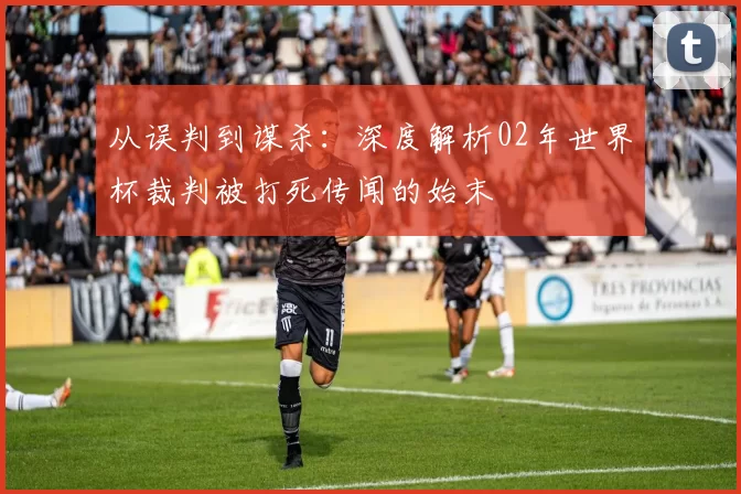 从误判到谋杀:深度解析02年世界杯裁判被打死传闻的始末