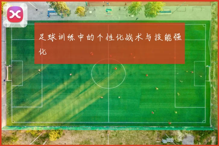 足球训练中的个性化战术与技能强化