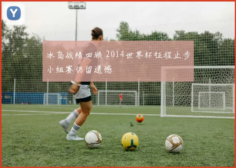 冰岛战绩回顾 2014世界杯征程止步小组赛仍留遗憾
