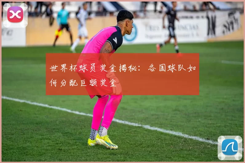 世界杯球员奖金揭秘：各国球队如何分配巨额奖金