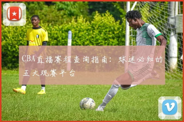 CBA直播赛程查询指南:球迷必知的五大观赛平台