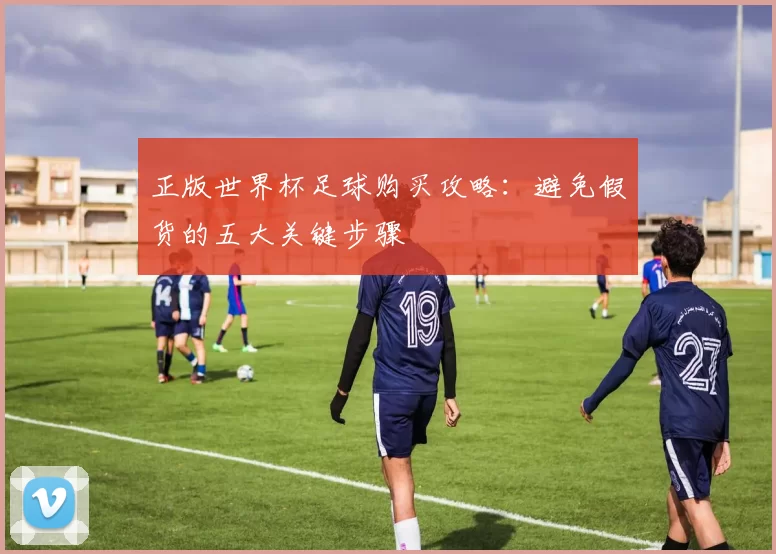正版世界杯足球购买攻略:避免假货的五大关键步骤