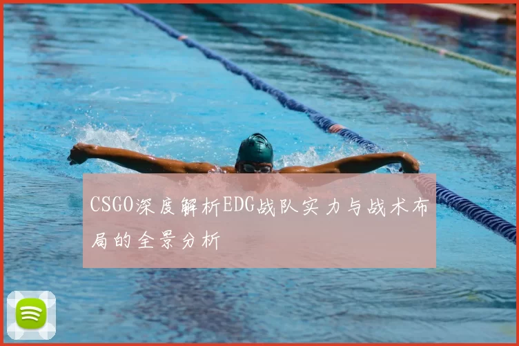 CSGO深度解析EDG战队实力与战术布局的全景分析