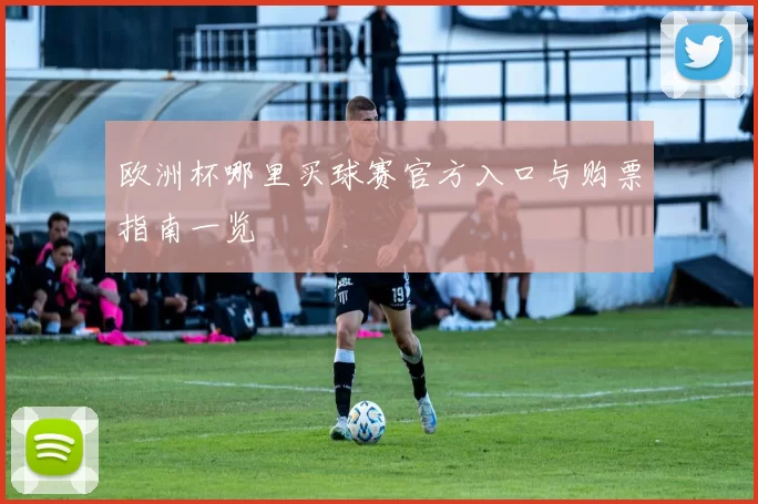 欧洲杯哪里买球赛官方入口与购票指南一览