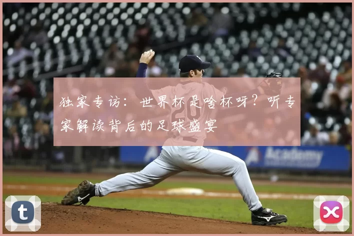 独家专访:世界杯是啥杯呀?听专家解读背后的足球盛宴